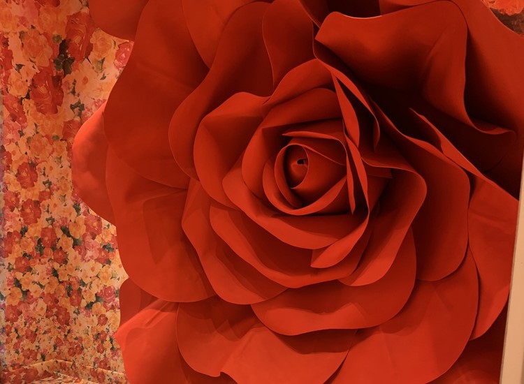 hobby lobby giant rose hobby lobby giant rose