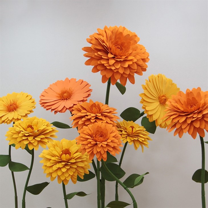 MARIGOLD FLOORE DI FOAM