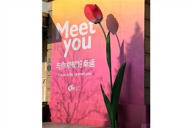 Fiori di carta di grandi dimensioni